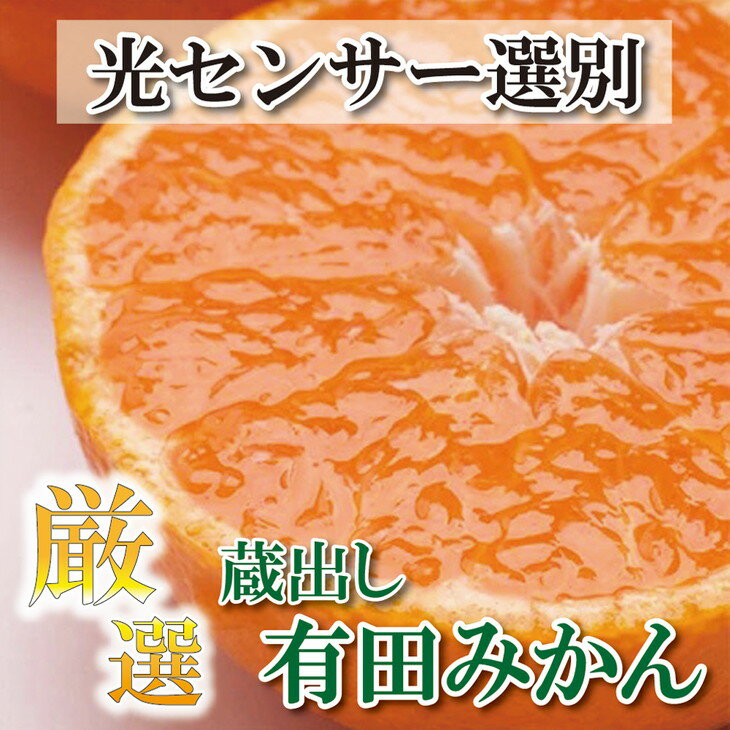 ＜先行予約＞厳選 蔵出みかん※2025年1月中旬〜2月下旬頃に順次発送予定 ※北海道・沖縄・離島への配送不可 / くだもの フルーツ 果実 蜜柑 オレンジ 柑橘 産地直送 //mandarin