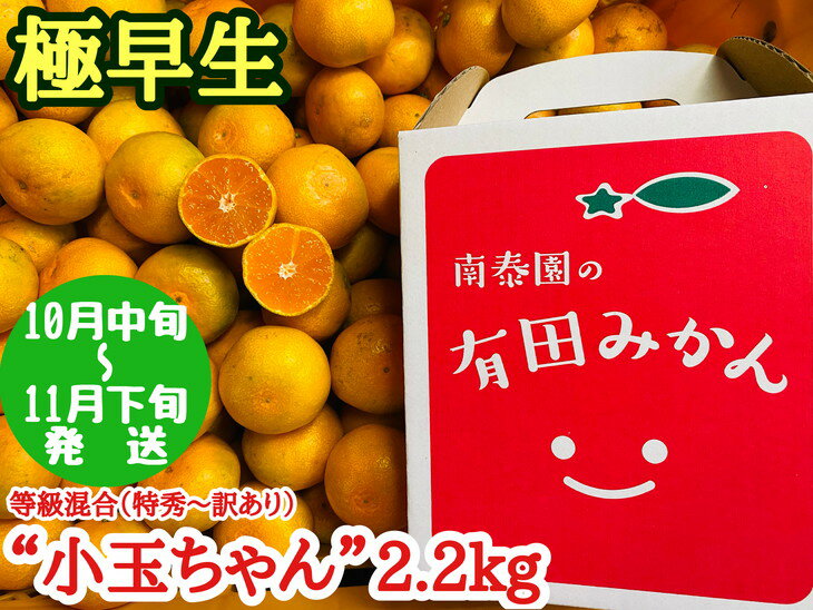 【ふるさと納税】【先行予約】【極早生・有田みかん】“小玉ちゃん”／等級混合・約2.2kg｜減農薬 柑橘 果物 フルーツ※着日指定不可※北海道・沖縄・離島は配送不可※10月中旬〜11月下旬頃に順次発送予定のサムネイル