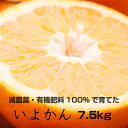 【ふるさと納税】特別栽培 いよかん7.5kg 【発送時期指定可】【有機肥料100%・減農薬栽培の春みかんを農家直送】