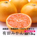 【ふるさと納税】特別栽培 有田みかん13kg(6.5kg×2箱)【発送時期指定OK】【減農薬栽培・有機肥料100%のみかんを農家直送】