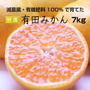 【ふるさと納税】特別栽培 特選 有田みかん7kg 【発送時期指定OK】【減農薬栽培・有機肥料100%のみかんを農家直送】