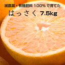 【ふるさと納税】特別栽培 はっさく(八朔)7.5kg 【...