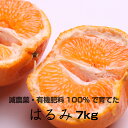 【ふるさと納税】特別栽培 はるみ7kg 【発送時期指定可】【有機肥料100%・減農薬栽培の春みかんを農家直送】