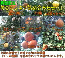 【ふるさと納税】柑橘セット 約10kg(3?4種類入り)※その時期の旬のみかん類詰め合わせ
