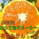 【ふるさと納税】とってもジューシー有田みかん 10kg(2Lサイズ)【お届け指定日不可】
