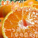 【ふるさと納税】農園直送!!有田みかん10kg【お届け指定日不可】