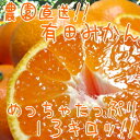 【ふるさと納税】農園直送!!有田みかん13kg【お届け指定日不可】