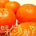 【ふるさと納税】セミノールオレンジ8kg