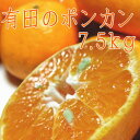 【ふるさと納税】有田のポンカン7.5kg(ご家庭用粗選別)