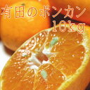 【ふるさと納税】有田のポンカン10kg(ご家庭用粗選別)