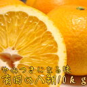 【ふるさと納税】有田の八朔10kg【1月下旬?お届け】
