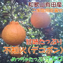 【ふるさと納税】不知火(デコポン)7kg【お届け指定日不可】