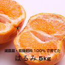 【ふるさと納税】特別栽培 はるみ5kg 【発送時期指定可】【有機肥料100%・減農薬栽培の春みかんを農家直送】