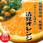 【ふるさと納税】春柑橘清見オレンジ8kg【2023年3月上旬より順次発送】