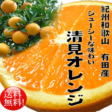 【ふるさと納税】春柑橘清見オレンジ8kg【3月上旬より順次発送】