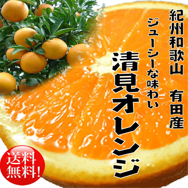 【ふるさと納税】春柑橘清見オレンジ10kg【3月上旬より順次発送】