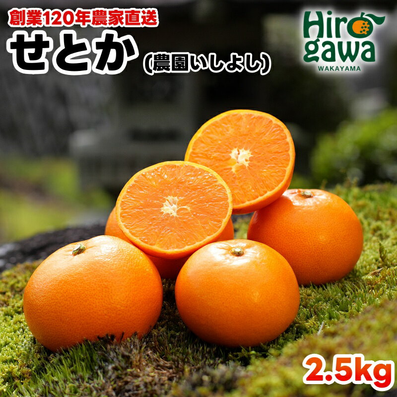 【ふるさと納税】 せとか 2.5kg サイ�