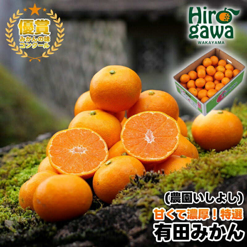 【ふるさと納税】 有田 みかん 特選