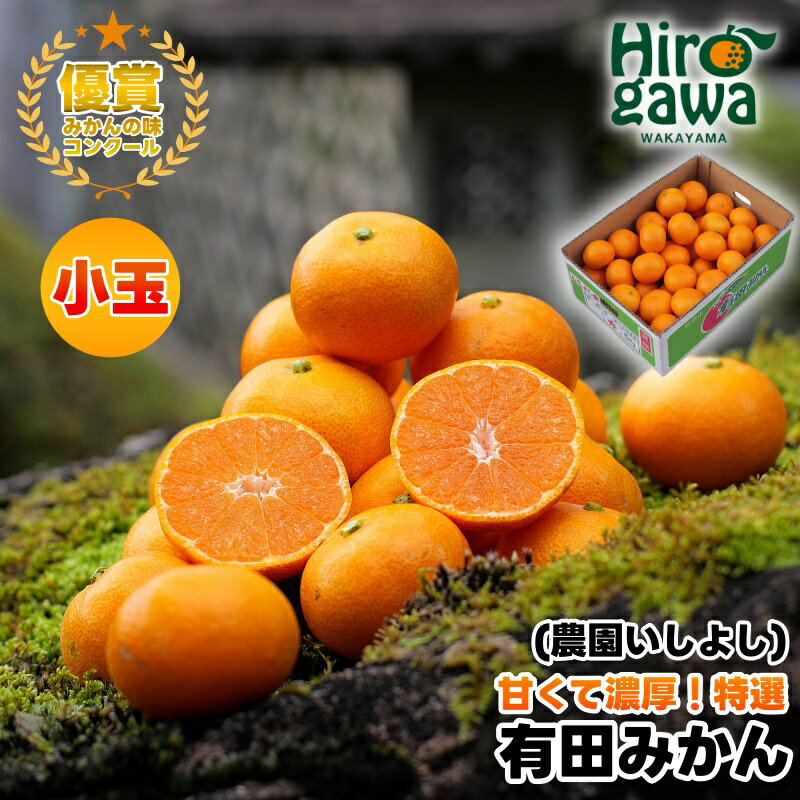 有田 みかん 小玉 5kg [ 創業120年 農家直送 ] / 温州みかん 有田みかん 甘い 小粒 和歌山 柑橘 12000円 ※11月中旬〜1月中旬に順次発送 //mandarin