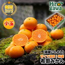 【ふるさと納税】 有田 みかん 小玉 5kg 【 創業120年 農家直送 】 / 温州みかん 有田みかん 甘い 小粒 和歌山 柑橘 14000円 ※11月中旬~翌年1月中旬に順次発送 //mandarin