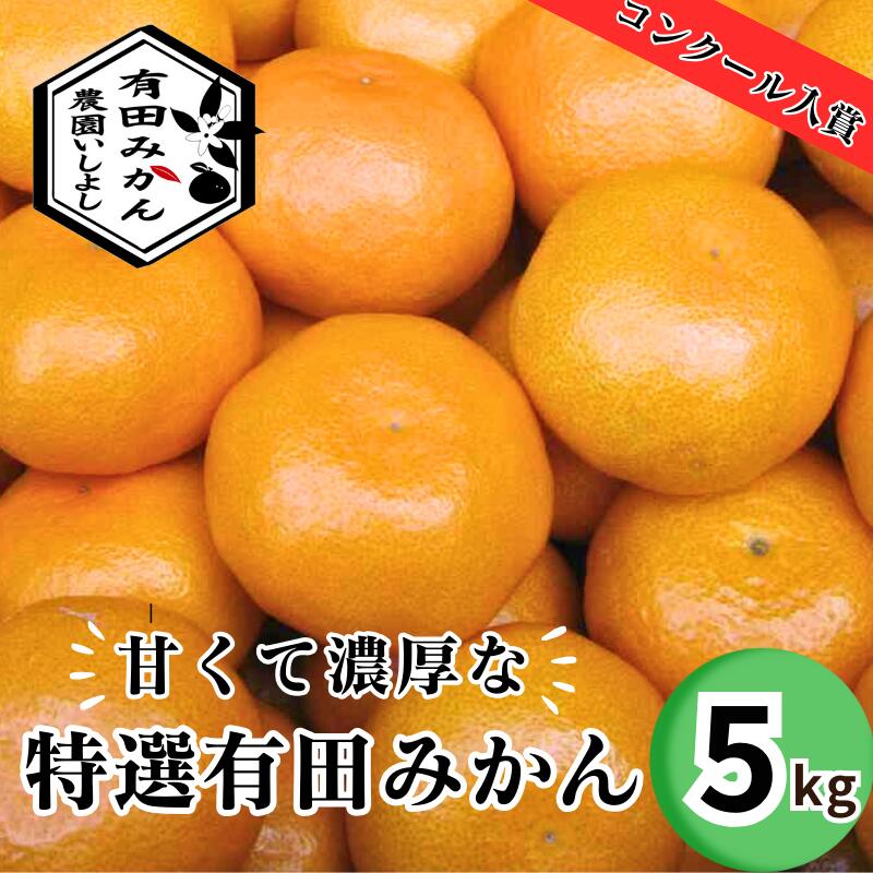 【ふるさと納税】特選有田みかん 【創業120年農家直送】 5kg サイズ混合 ※11月より順次発送予定 ※着日指定不可 //mandarinのサムネイル
