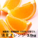 【ふるさと納税】特別栽培　清見オレンジ3.5kg【発送時期指定可】【有機肥料100%・減農薬栽培の春みかんを農家直送】