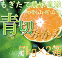 【ふるさと納税】《7kg×2箱》爽やかな味わい青切りみかん合...