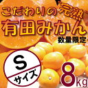 【ふるさと納税】《数量限定》こだわりの完熟有田みかんSサイズ...