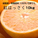 【ふるさと納税】特別栽培 紅はっさく10kg【減農薬栽培・有...