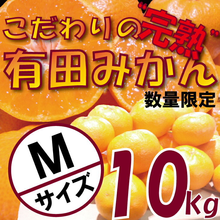 [数量限定]こだわりの完熟有田みかんMサイズ10kg[11月中旬より順次発送]家庭用・贈答用[有機質肥料100%]※北海道・沖縄・離島への配送不可 / みかん 蜜柑 柑橘 果物 フルーツ くだもの 果実 国産 和歌山県 //mandarin