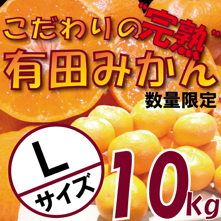 和歌山県広川町 | ふるさと納税の返礼品一覧(17サイト横断・人気順) | ふるさと納税ガイド 和歌山県広川町 | ふるさと納税の返礼品一覧(17サイト横断・人気順) | ふるさと納税ガイド
