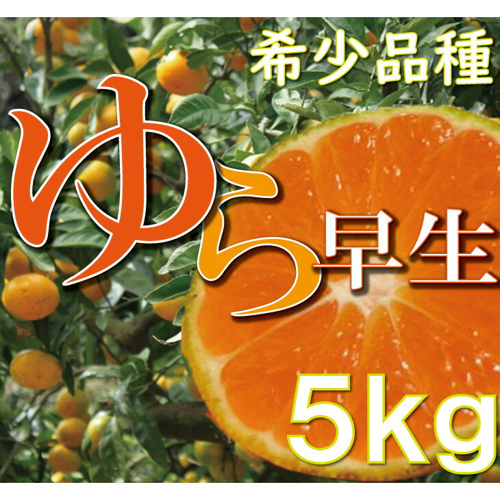 【ふるさと納税】濃厚な味わいゆら早生みかん約5kg【10月上旬より発送】希少品種《有機質肥料100％》