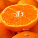 【ふるさと納税】【12月お届け】【産地直送】濃厚有田みかん ...