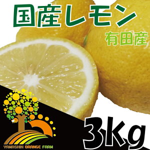 【ふるさと納税】安心安全の国産レモン 省農薬栽培 約3kg