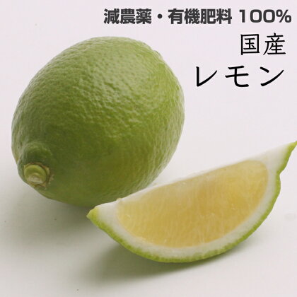 <特別栽培>レモン1.5kg