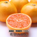 【ふるさと納税】特別栽培 有田みかん4kg【発送時期指定OK
