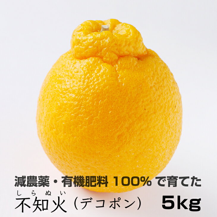 【ふるさと納税】特別栽培　不知火（デコポン）5kg　 【発送時期指定OK】【減農薬栽培・有機肥料100%のみかんを農家直送】