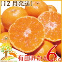 【ふるさと納税】【12月発送】こだわりの有田みかんご家庭用6