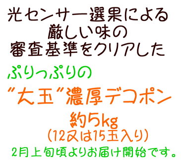 【ふるさと納税】【2021年2月上旬より順次発送】厳選!和歌山有田の濃厚