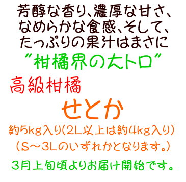 【ふるさと納税】【2022年3月よりお届け】柑橘の王様 和歌山有田の濃厚せとか