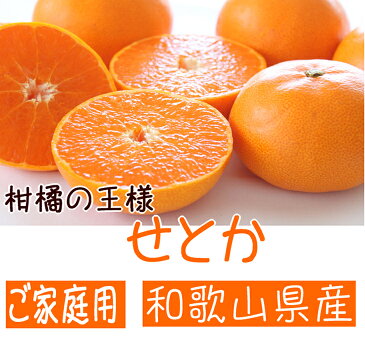 【ふるさと納税】【2021年3月よりお届け】柑橘の王様 和歌山有田の濃厚せとか(ご家庭用)