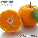 【ふるさと納税】【春みかん】紀州有田産ポンカン6.5kg (サイズ混合)