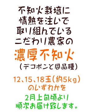 【ふるさと納税】こだわり農家の濃厚不知火（デコポンと同品種）　12〜18玉（約5kg）