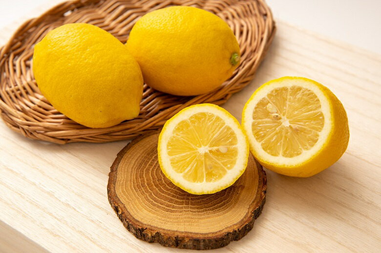 【ふるさと納税】和歌山県有田産　レモン　約3kg