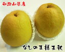 【ふるさと納税】【冬の美味】農家直送!味覚の王様大人気梨