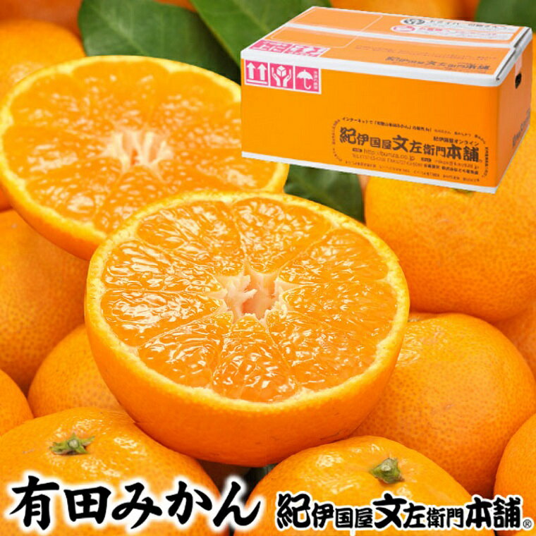 【ふるさと納税】 ブランド 有田 みかん 秀品 / 温州みかん 甘い 蜜柑 柑橘 果物 フルーツ 和歌山 有田 5kg サイズおまかせ ※10月〜翌年1月順次発送予定(お届け日指定不可)//mandarin