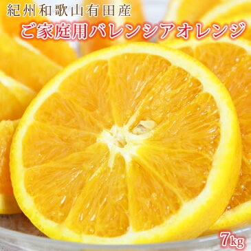 【ふるさと納税】【ご家庭用訳あり】希少な国産バレンシアオレンジ　7kg