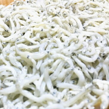 【ふるさと納税】【老舗の味】茹でたて!釜揚げしらす 500g※北海道・沖縄・離島への配送不可