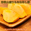 柿 【ふるさと納税】和歌山秋の味覚　平核無柿（ひらたねなしがき） ※2024年10月上旬頃～2024年10月下旬頃順次発送 ※離島配送不可 //hokaf