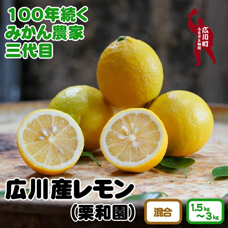 ڤդ뤵Ǽǡ²λͭĻ 2025ǯ2ܺ3ܺ˽缡ȯͽ / ͭ ݦݨ   ʪ ե롼  ²λ Ϥߤĥ ͡ //lemon